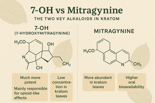 7-OH vs. Mitragynine: A Guide to Kratom's Two Key Alkaloids