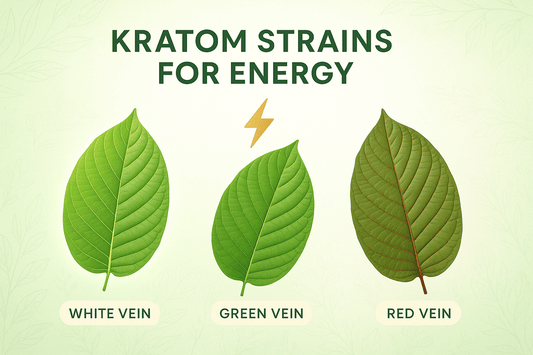 Unlocking Your Energy Potential: Which Kratom Strain is Your Best Ally?