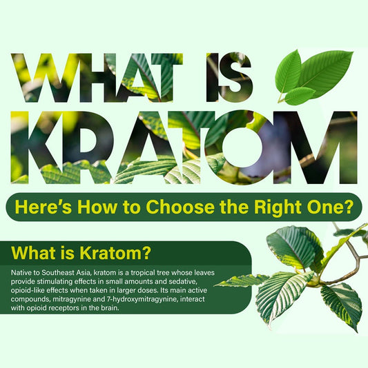 What Is Kratom- Here’s How to Choose  the Right One?